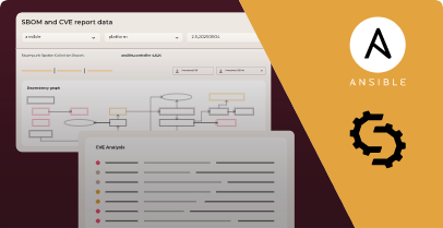 Introducing SBOM and CVE Analysis